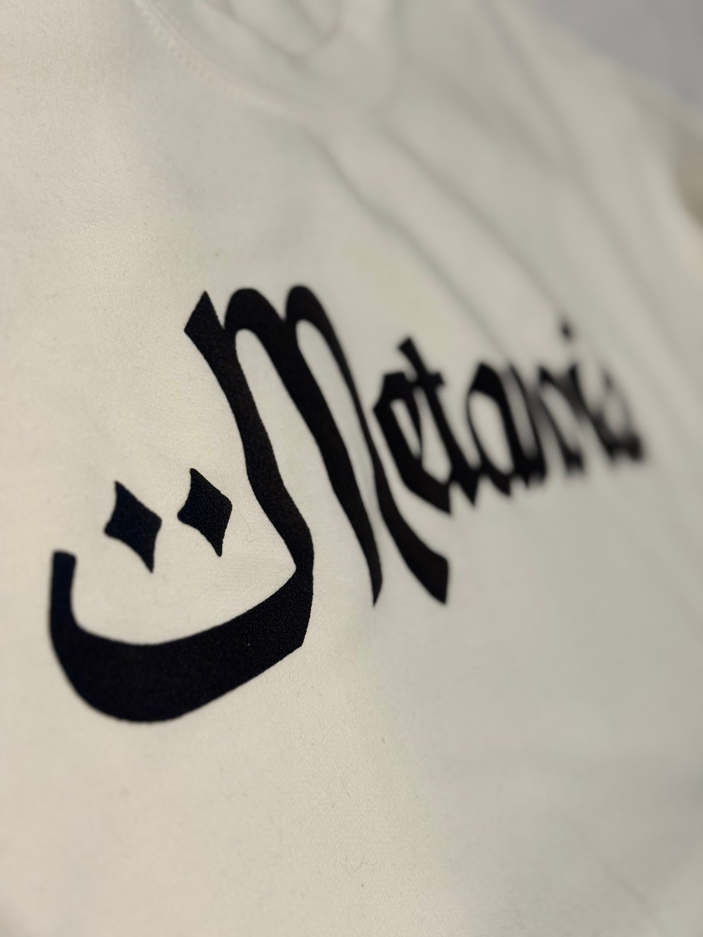 METANOIA Sweatshirt